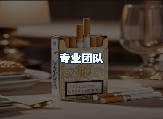 专业团队